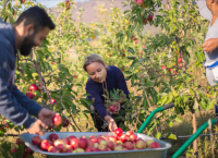Leaving No One Behind: How to Make a Labor Market System Work for Everyone