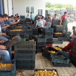 1- IMG_20140624_150115 (1)