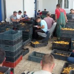 3- IMG_20140624_150054 (3) (2)